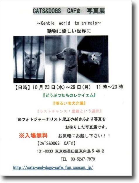 写真展のお知らせ
