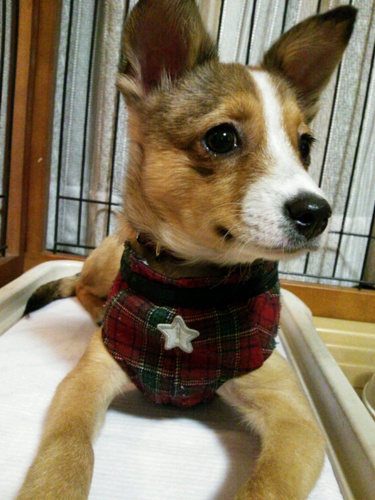 20121025-3.jpg