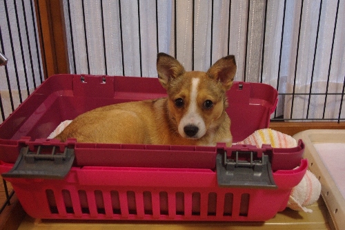 20121104-1.jpg