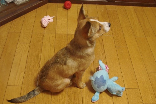 20121104-2.jpg