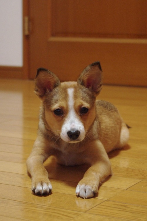 20121104-3.jpg