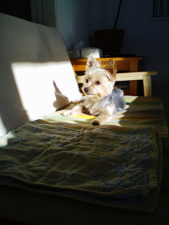 201211180837.jpg