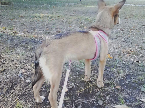 20121124-1.jpg
