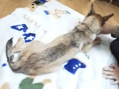 20121124-4.jpg