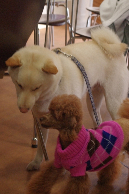 20121202-2.jpg