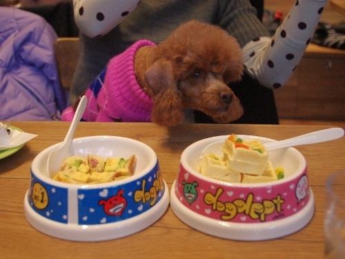 20121202-3.jpg