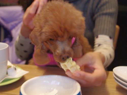 20121202-4.jpg