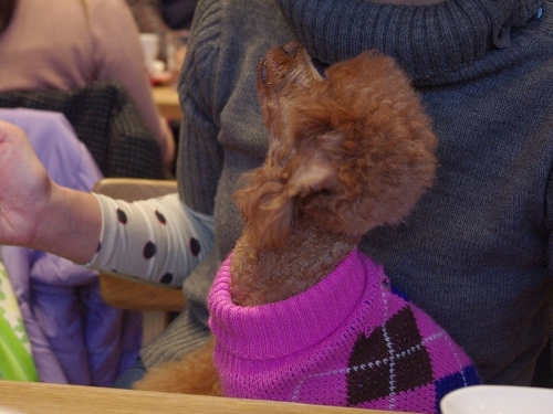 20121202-5.jpg