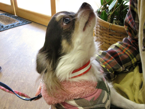 20121208-3.jpg