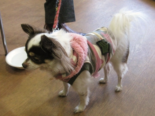 20121208-4.jpg