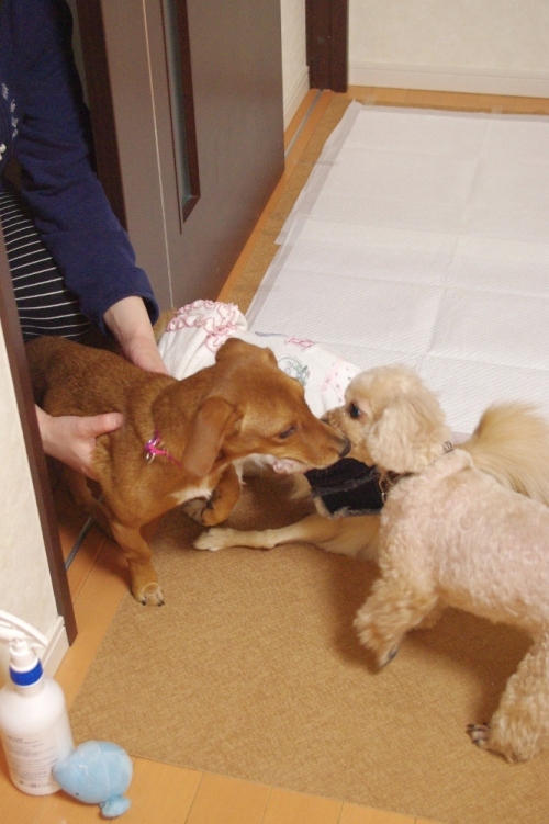 20130102-7.jpg