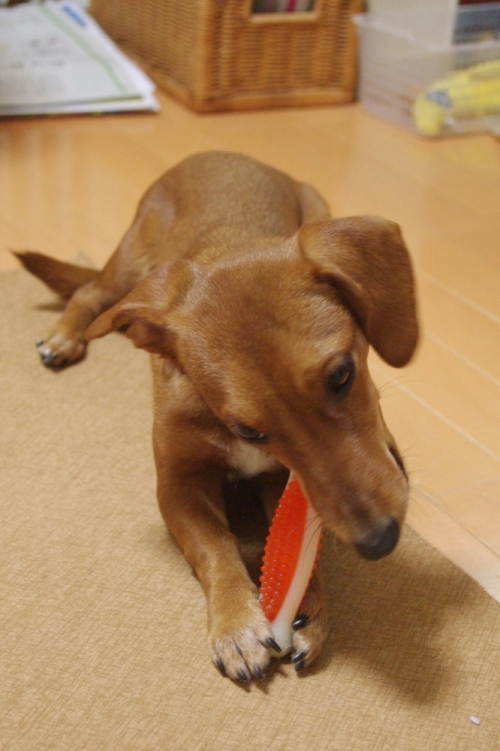 20130102-8.jpg