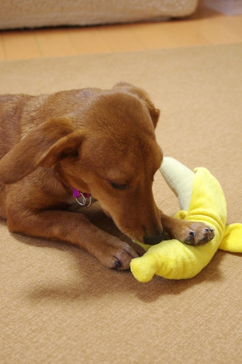 20130103-1.jpg