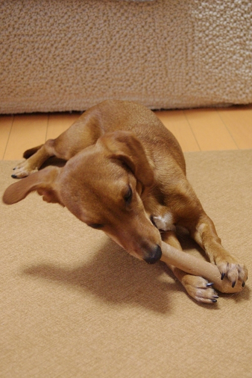 20130103-2.jpg