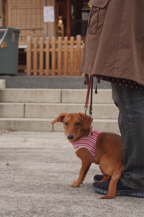 20130105-1.jpg