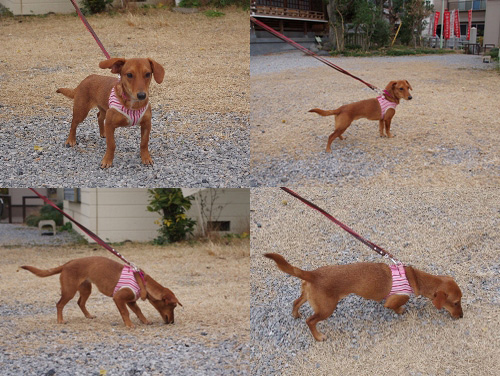 20130105-2.jpg