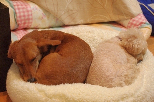20130111-1.jpg