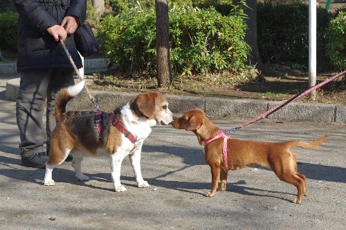 20130113-1.jpg