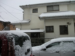 雪