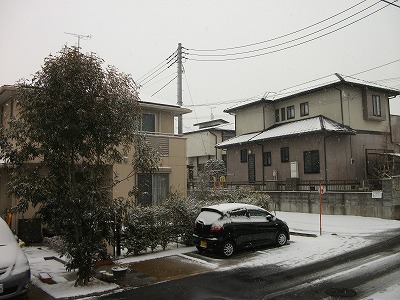 雪の朝