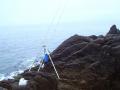 DSC052301.jpg