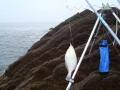 DSC052331.jpg