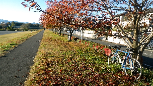 IMGP3339.jpg