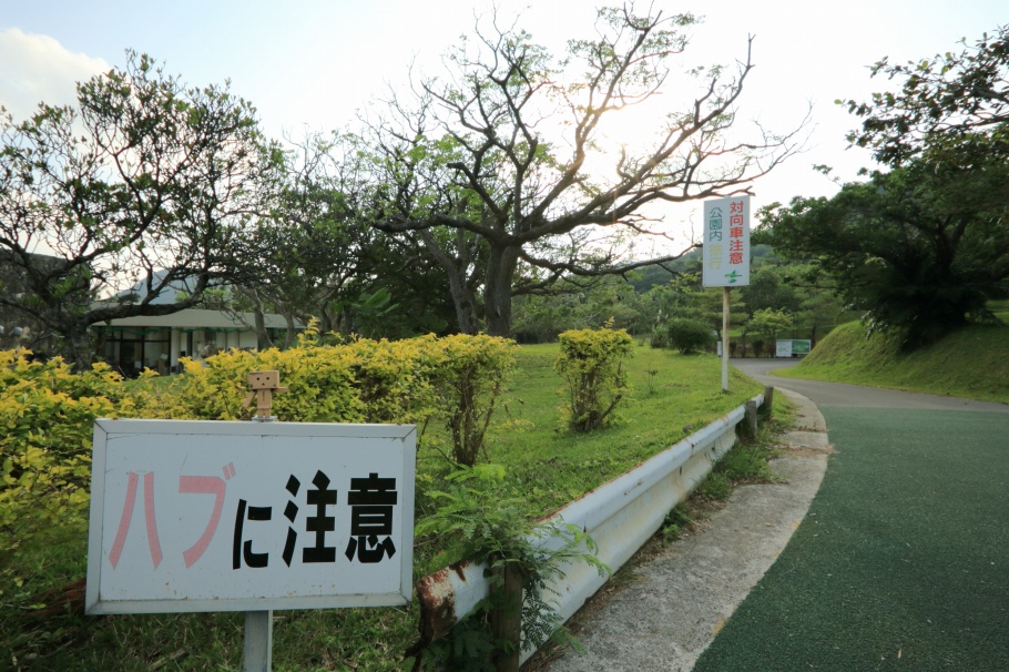 1N5A4438.jpg