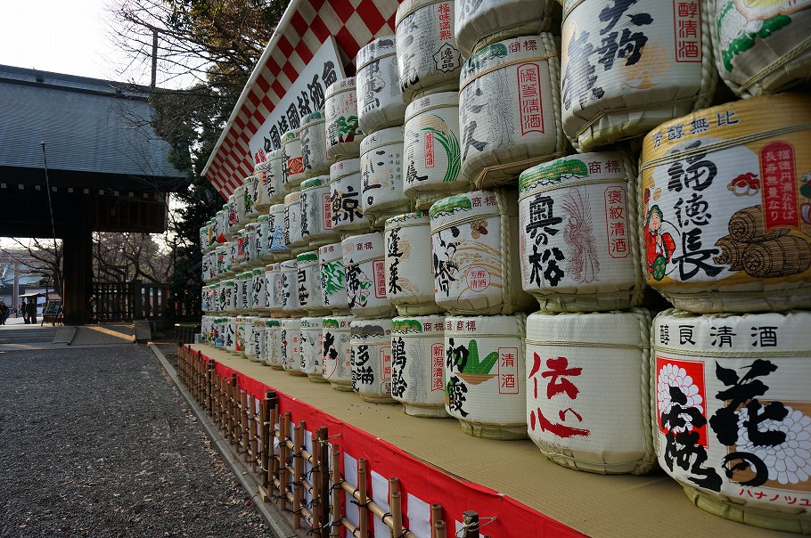 DSC00017.jpg