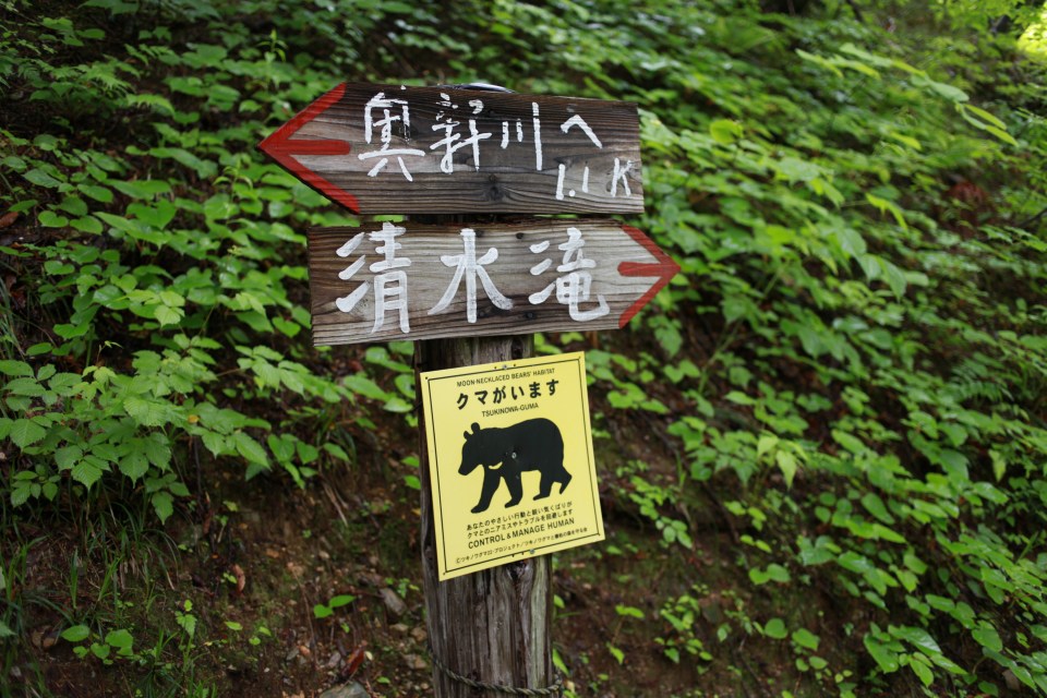 IMG_3448.jpg