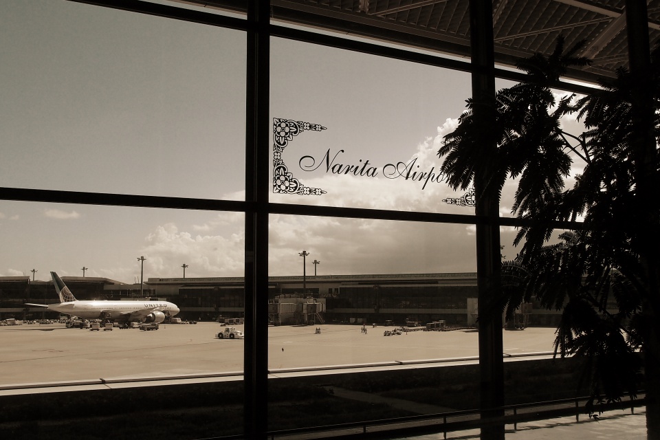 P8190700-2.jpg