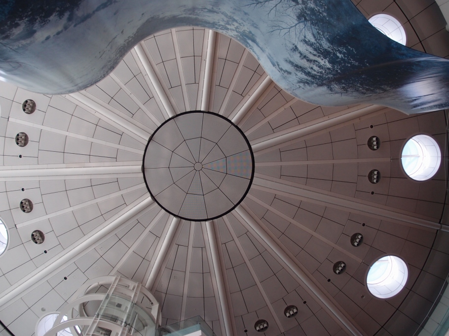 PA246142.jpg
