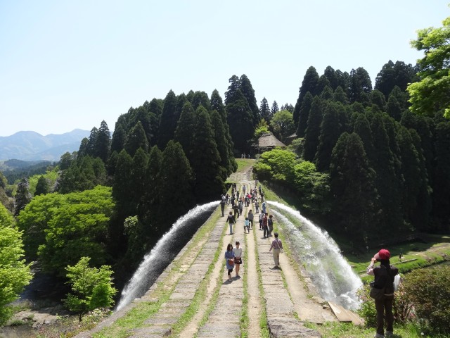 20130427DSC00200.jpg