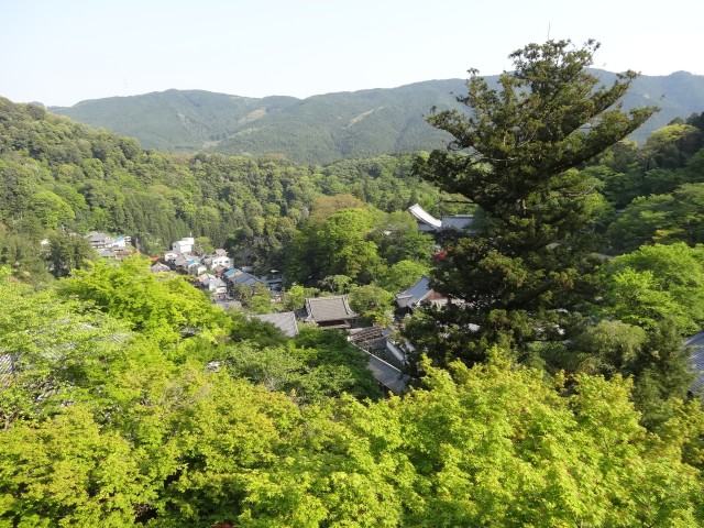 20130506DSC01060.jpg