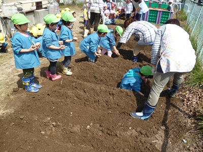 P1000450.jpg