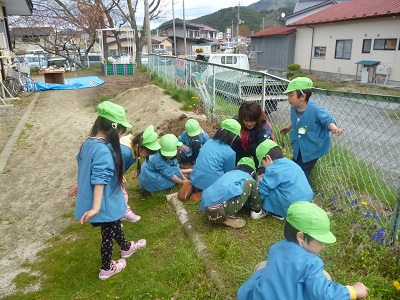 P1000550.jpg