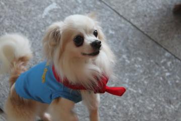 IMG_4888_20120501000240.jpg