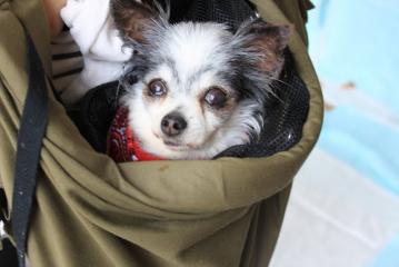 IMG_4928_20120501000425.jpg