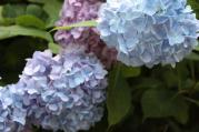 2012-0614_15.jpg