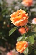 IMG_4925.jpg