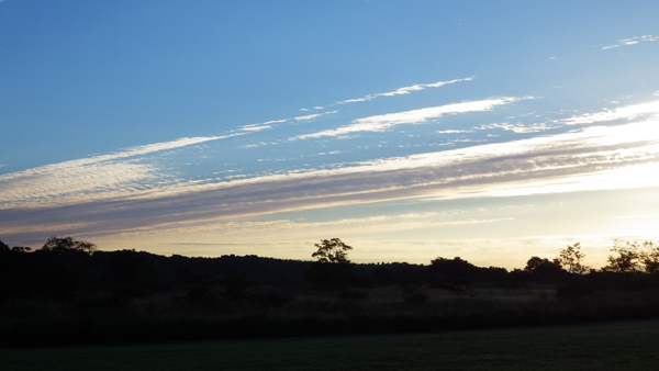 121009r.jpg