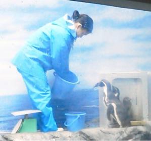 20120506_21a.jpg