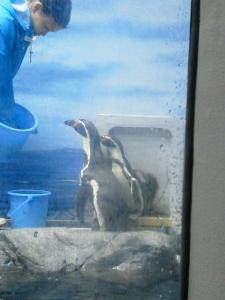 20120506_22a.jpg