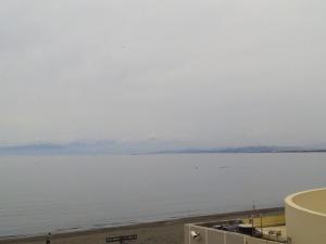 20120506_23a.jpg