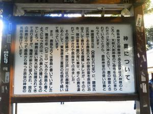 20130101_02a.jpg