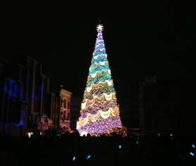 tree.jpg
