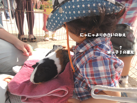 末っ子1