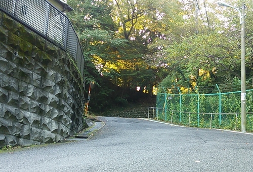 20141025-04百草園