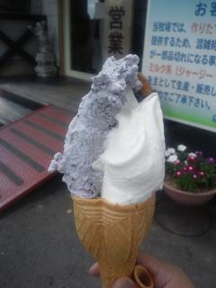 20120826_036_R.jpg