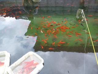 20120917_005_R.jpg